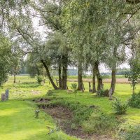 skulpturen weiher bruckner9