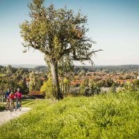 bauernhof safari