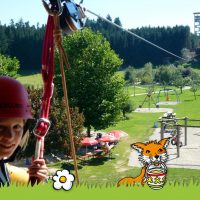 flying fox