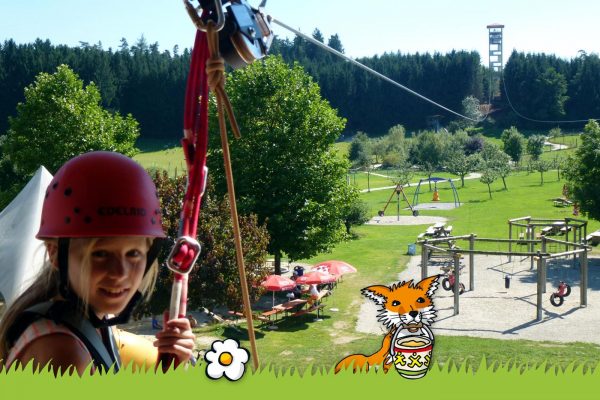 flying fox