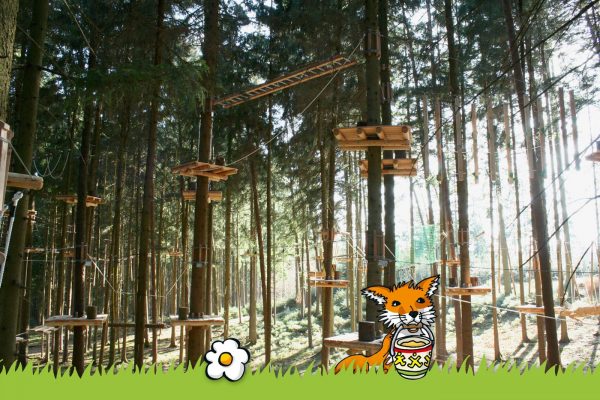 kletterwald