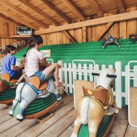 pony derby