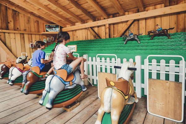 pony derby