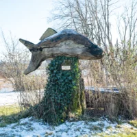 20 Ernst Hofstetter - Fisch der Hoffnung